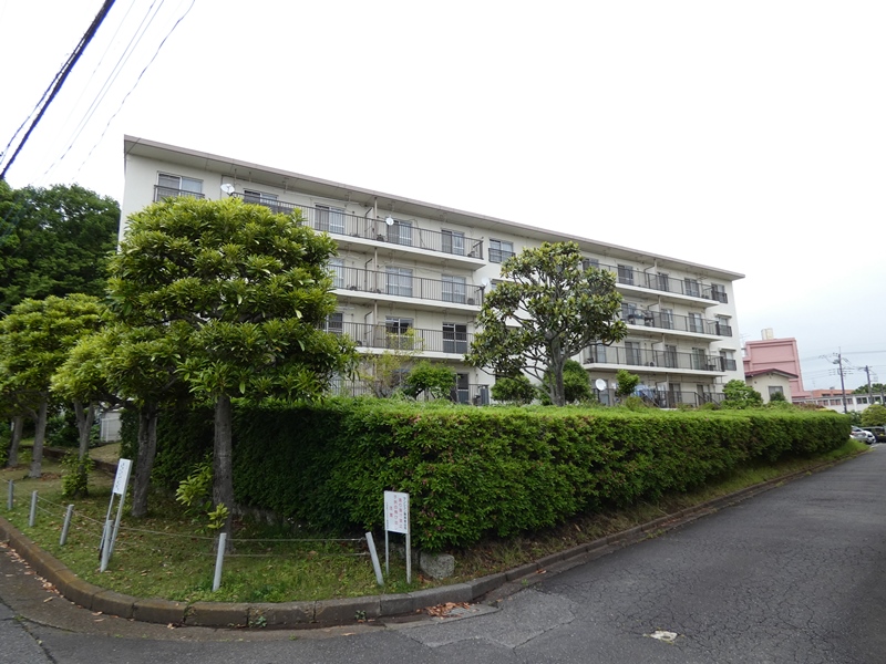 写真の説明